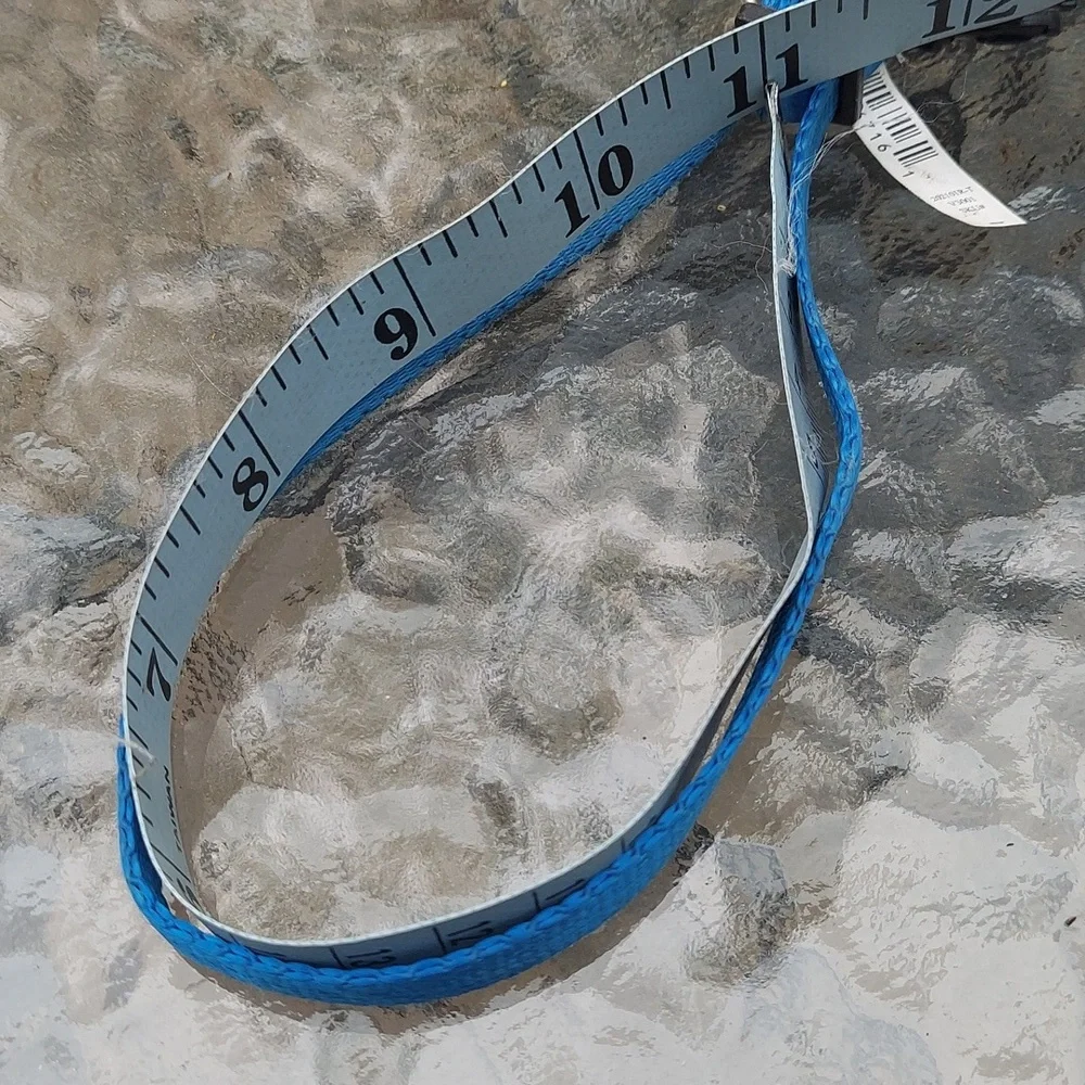 Small Blue Cat/Dog Collar